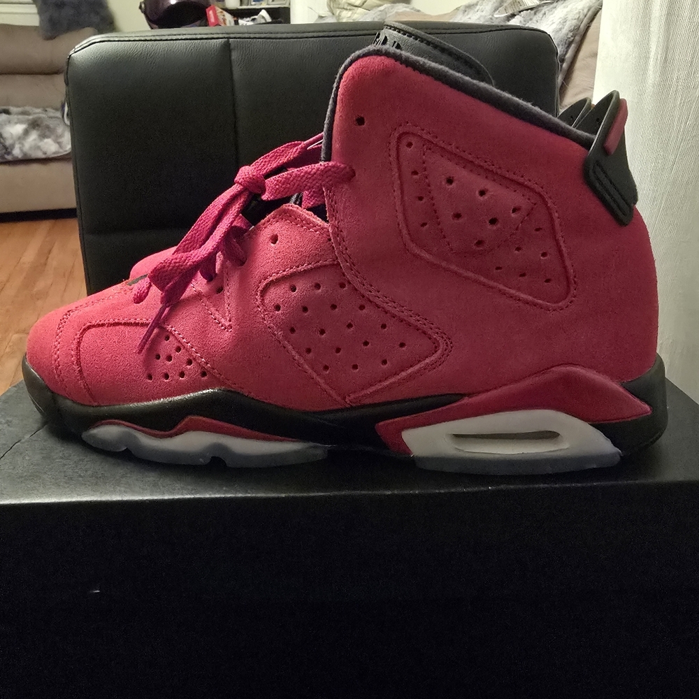 Air Jordan Retro 6 Red Suede Sneakers